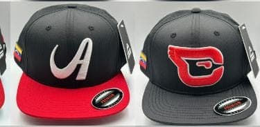 Imagen 2