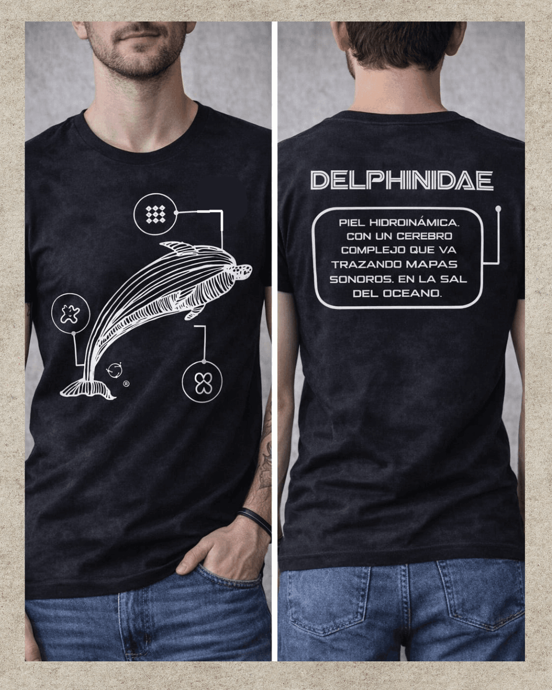 Delphinidae