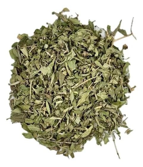 PÓLEO