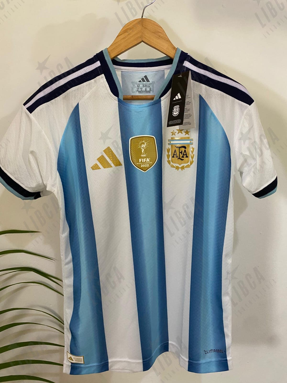 Afa Selección 2026 (ADULTO)