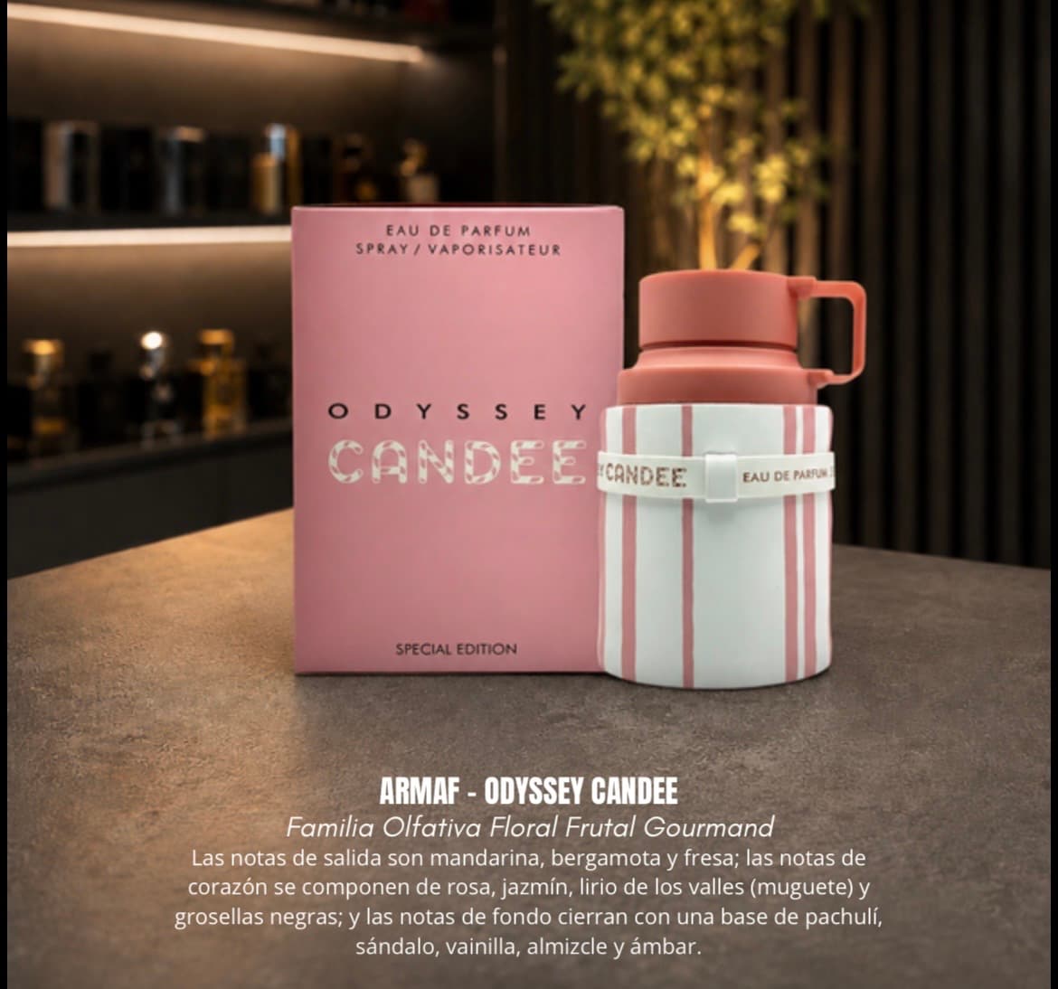 Armaf odyssey candee