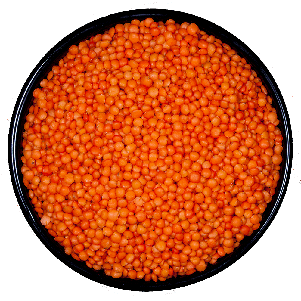 LENTEJAS TURCAS
