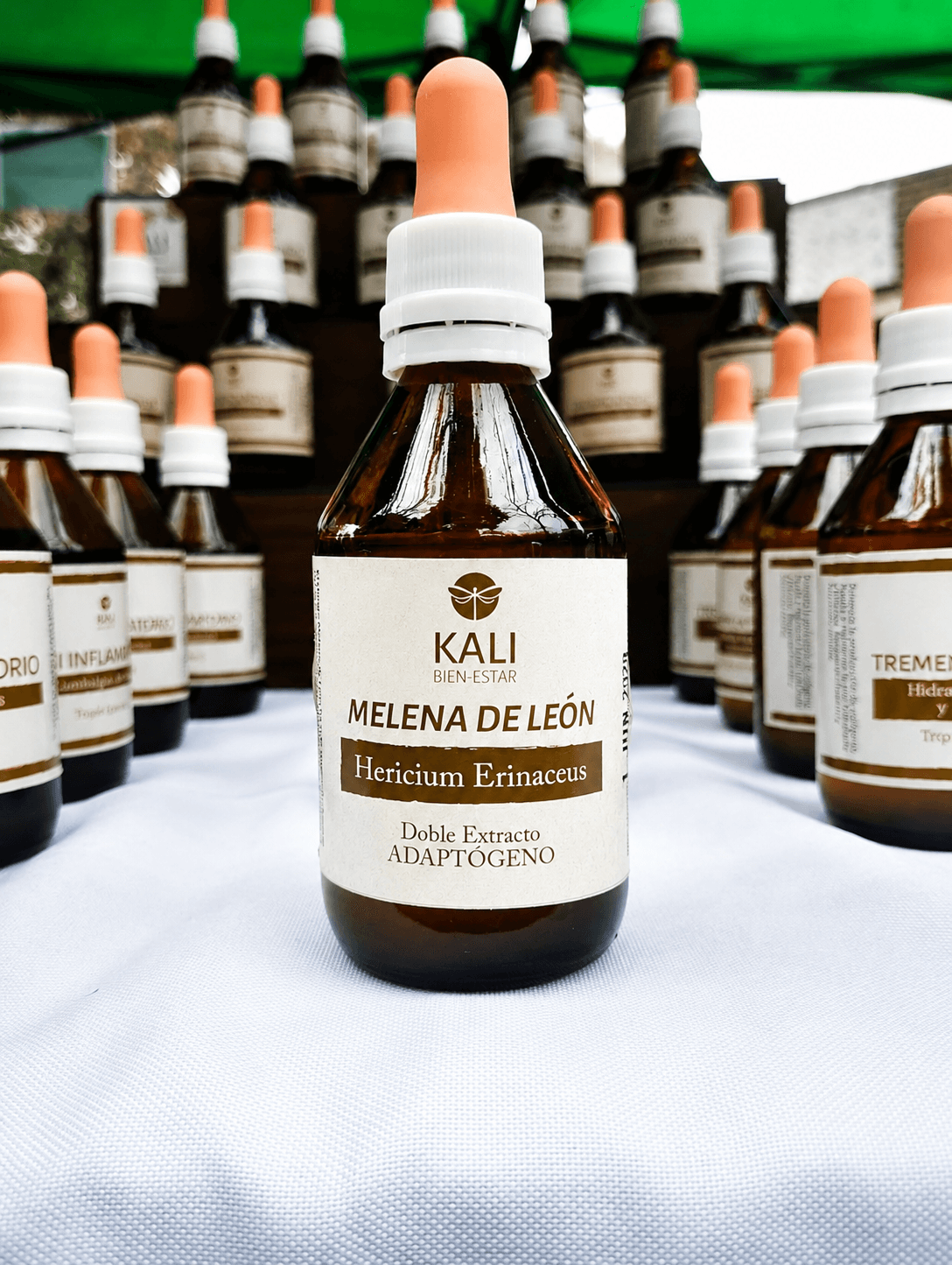 Melena de leon adaptogeno concentracion memoria  salud digestiva  sist inmunolog