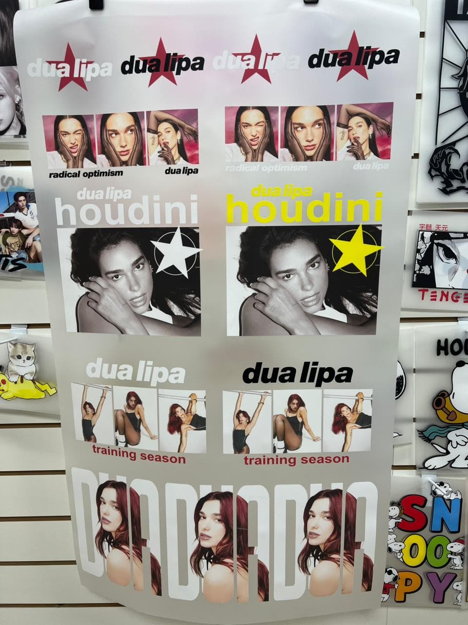 Imagen 6