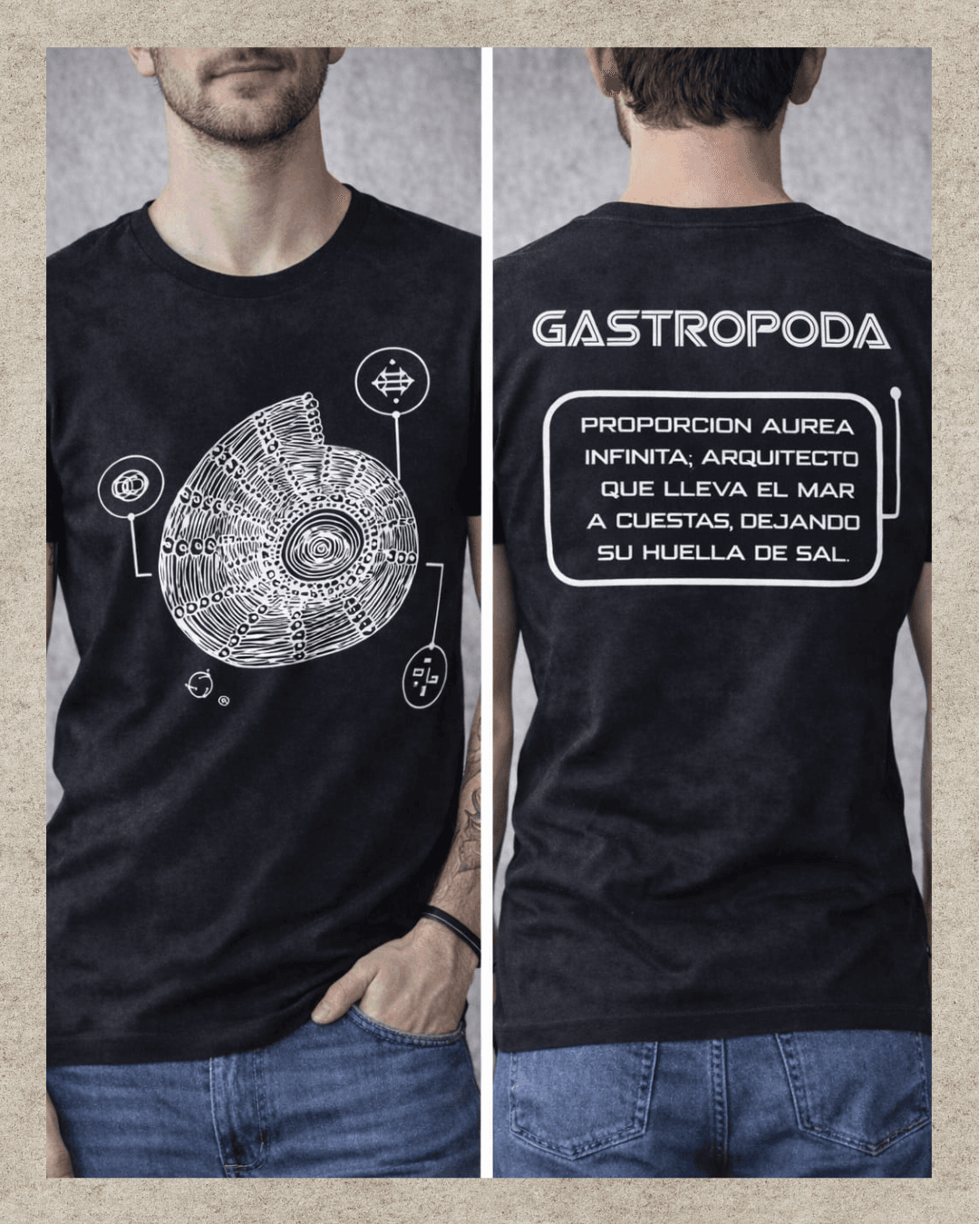 Gastropoda