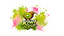 Kiwi Graff