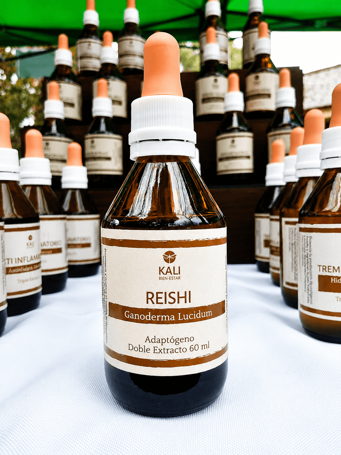 Reishi adaptogeno estres ansiedad equilibrio salud cardiovascular sost inmune