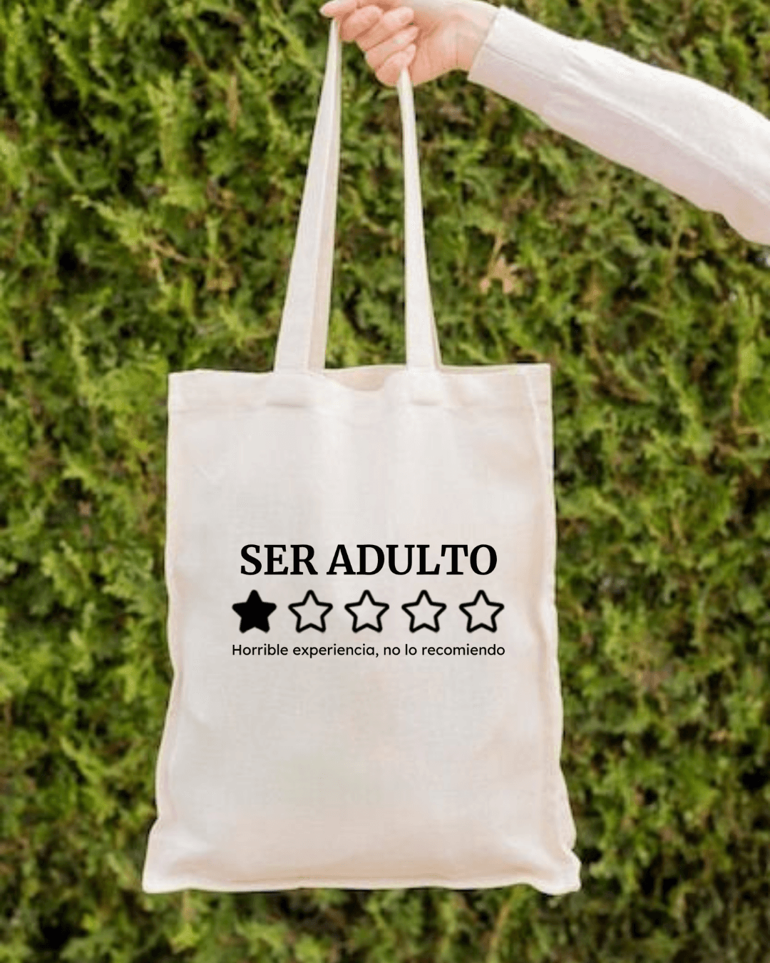 Imagen 6
