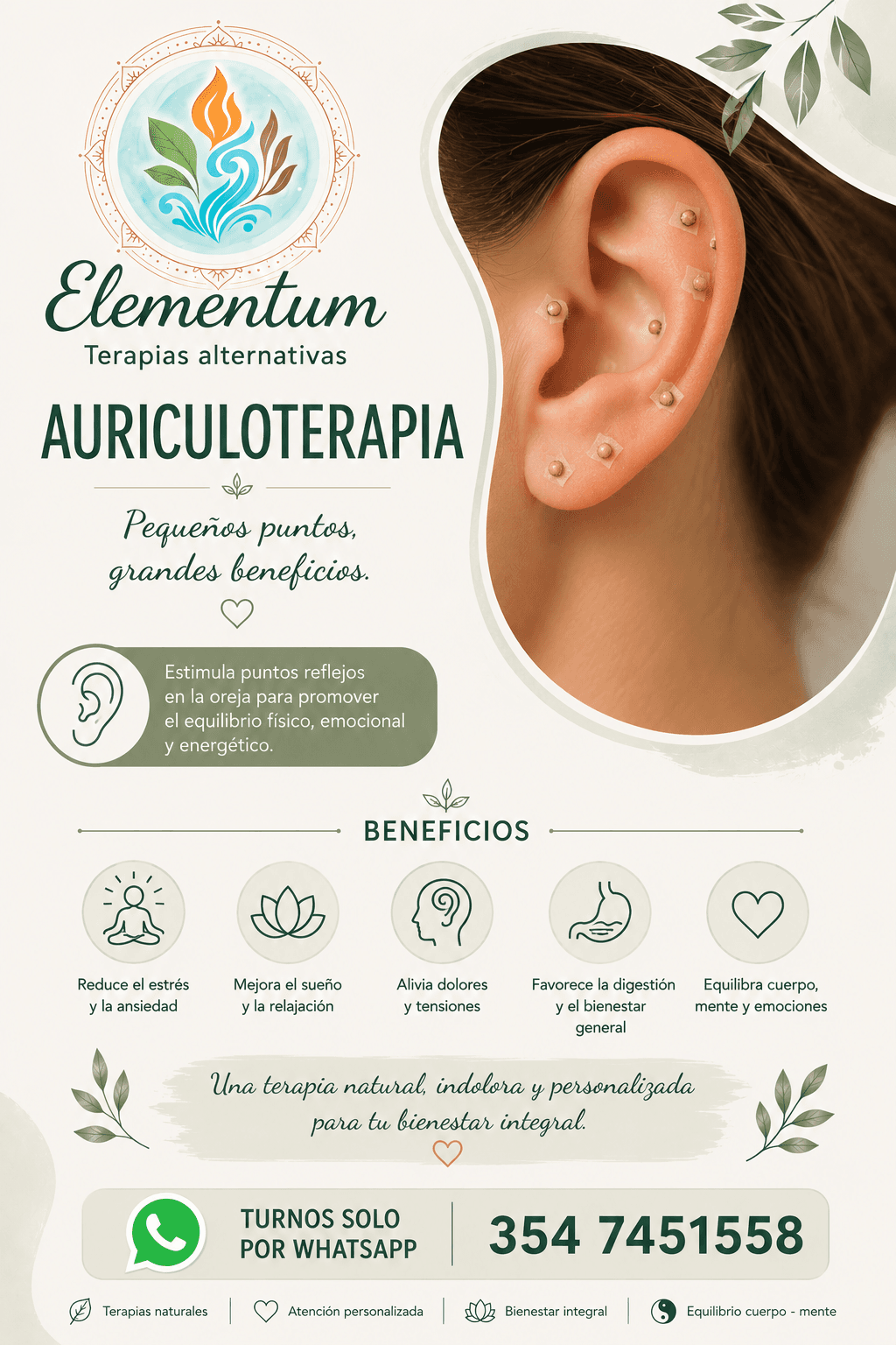Auriculoterapia
